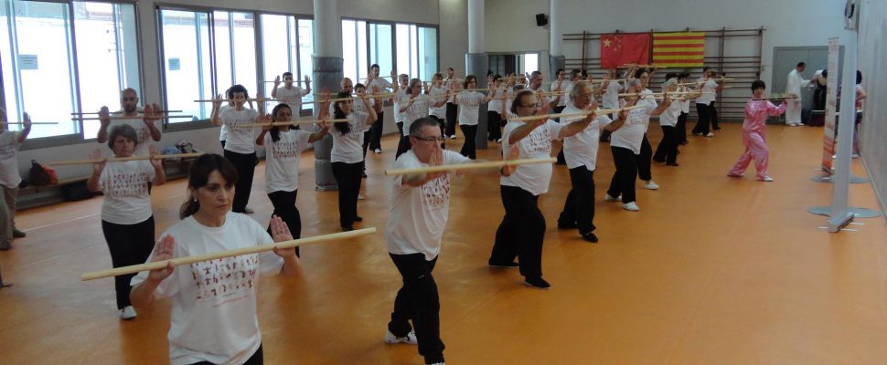 Curso de Qigong con bastón, impartido por la Maestra Chen Bei