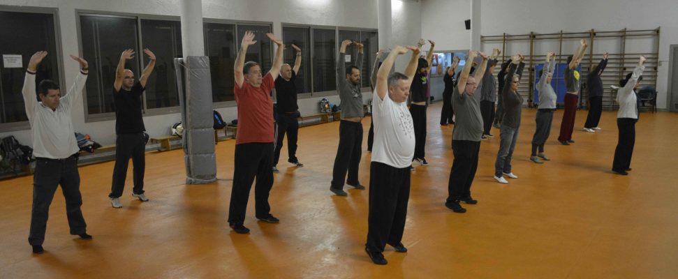 Curso Trimestral Yi Jin Jing