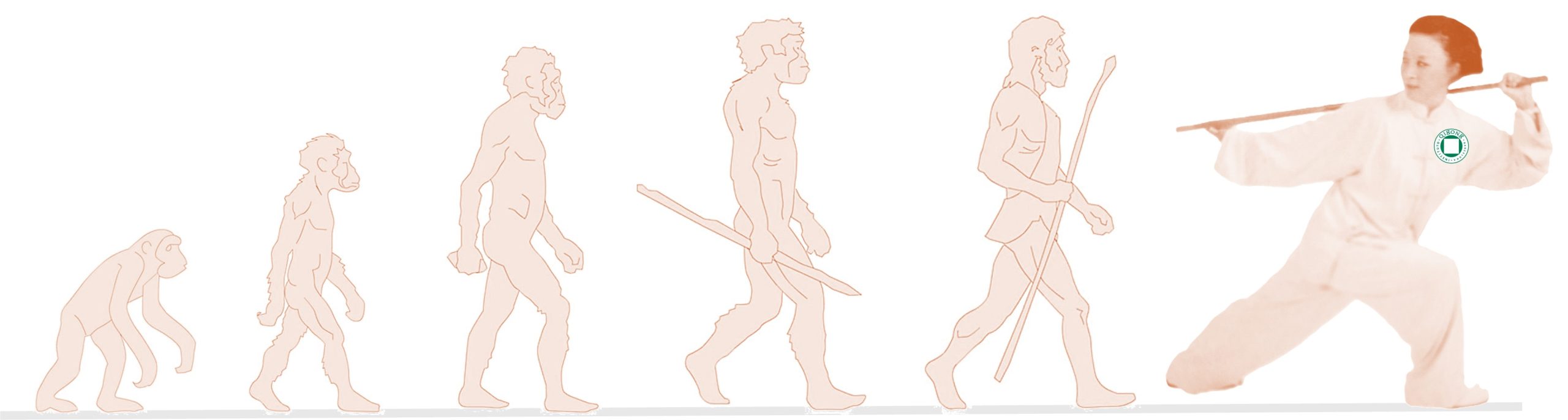 escuela verano qigong