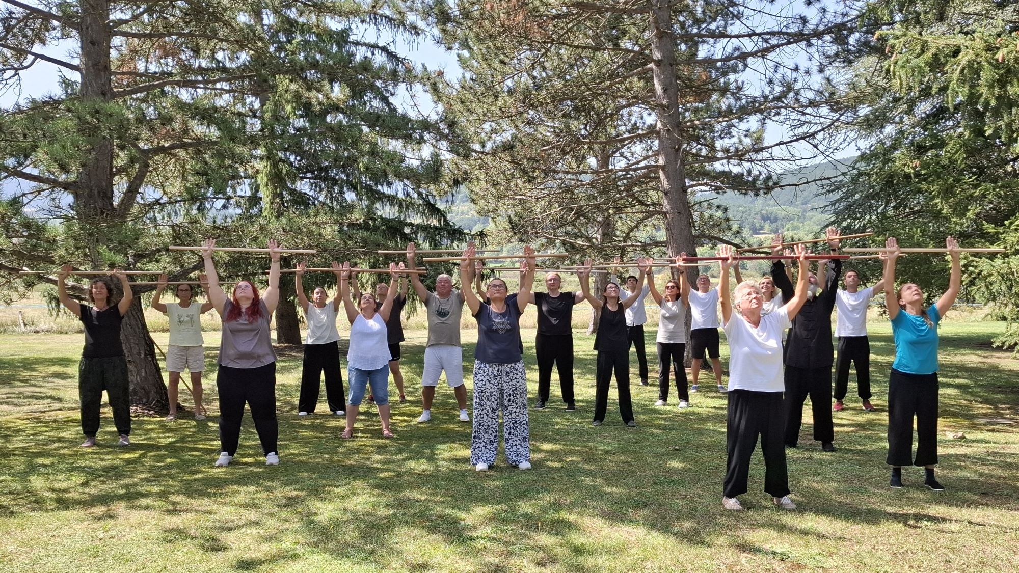 retiro qigong