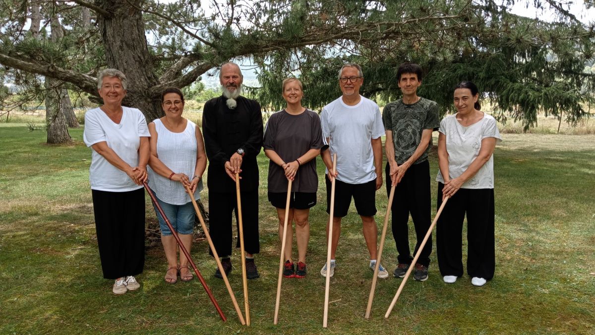 15 promoción qigong